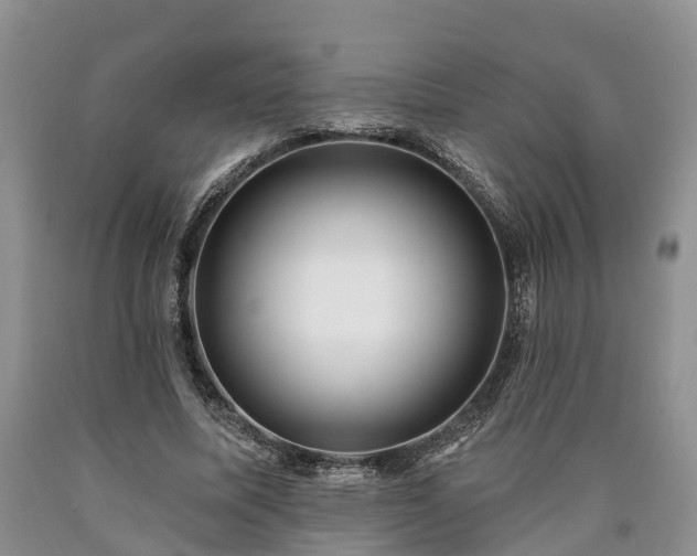 X0000090610587200707241108