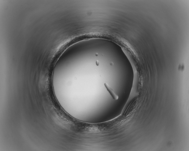 X0000090610588200707241108