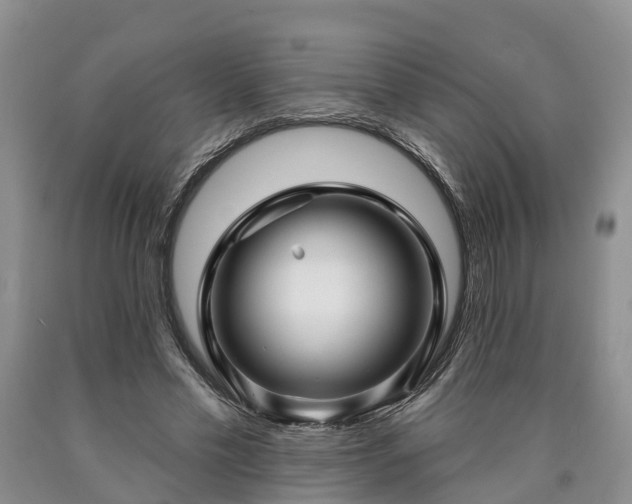 X0000090610589200707241108