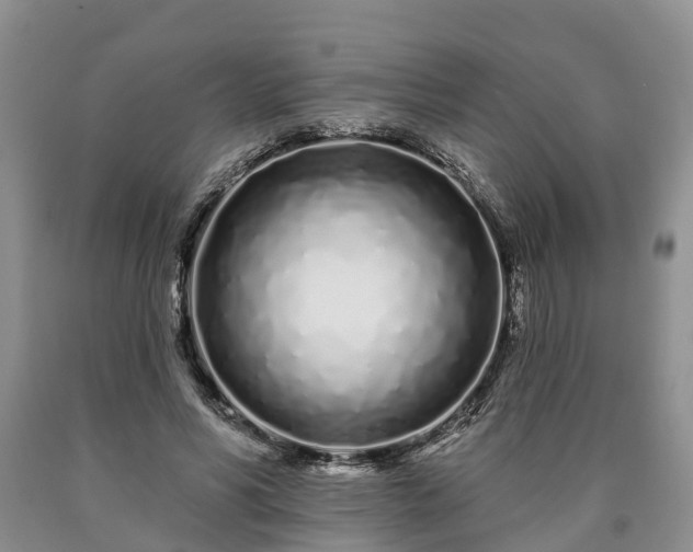 X0000090610590200707241108