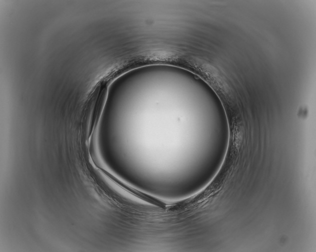 X0000090610591200707241108