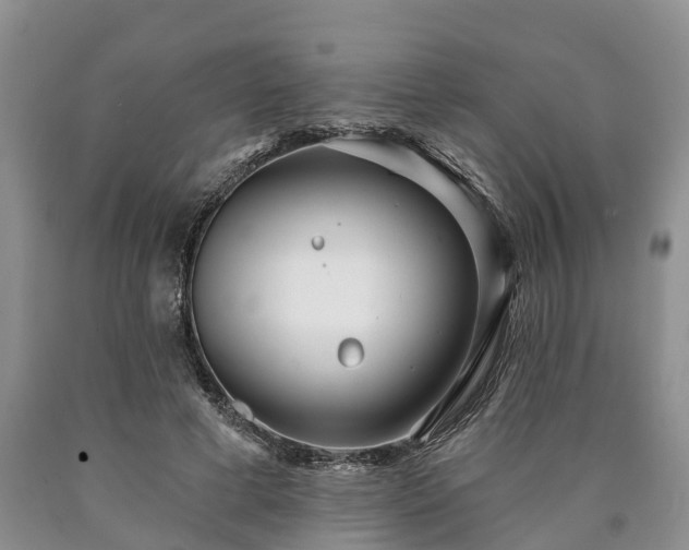 X0000090610593200707241108