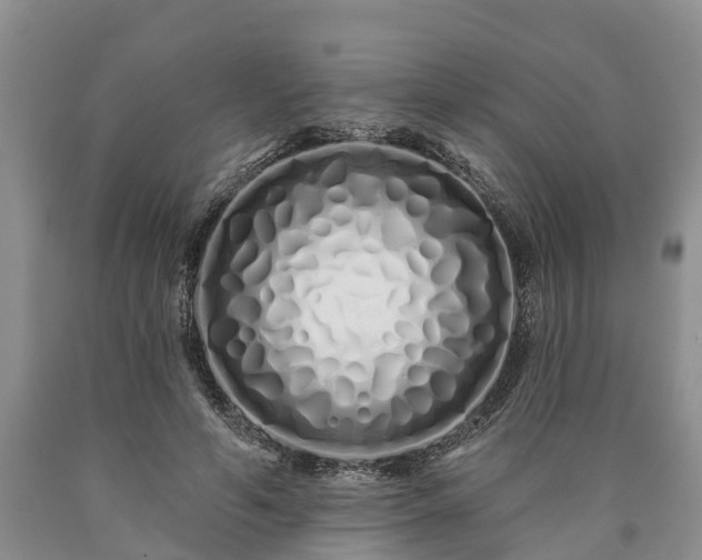 X0000090610594200707241108