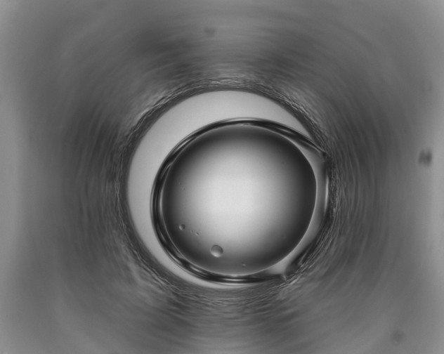 X0000090610595200707241108