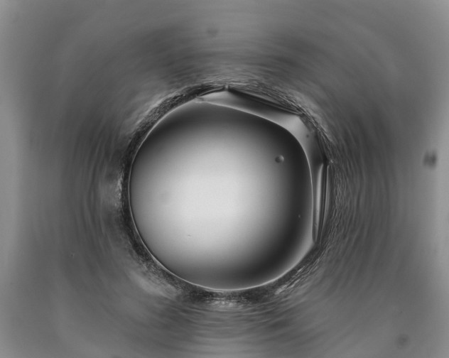 X0000090610596200707241108