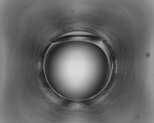 X0000090610597200707241108