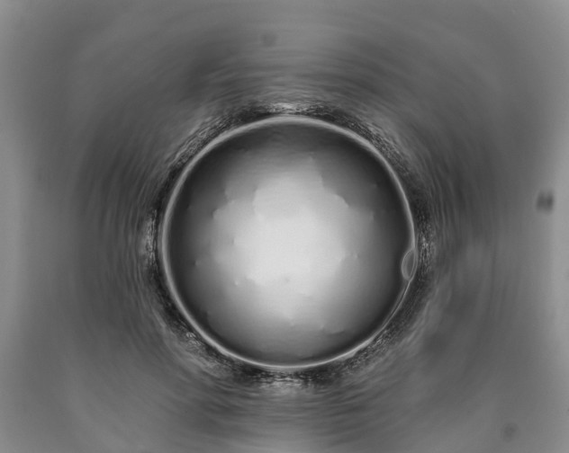 X0000090610598200707241108