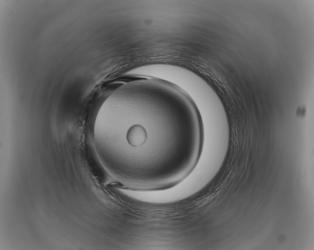 X0000090610599200707241108