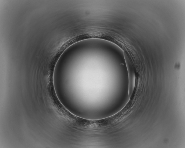 X0000090610600200707241108