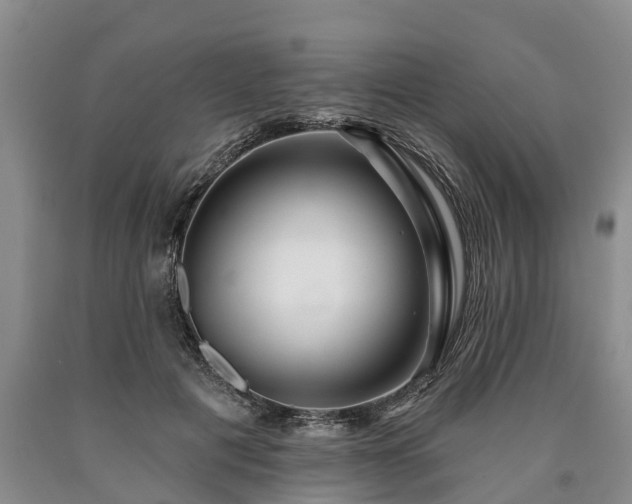 X0000090610601200707241108