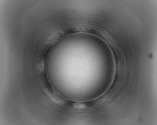 X0000090610602200707241108