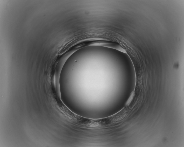 X0000090610604200707241108