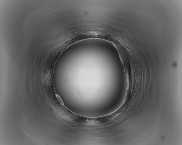 X0000090610605200707241108