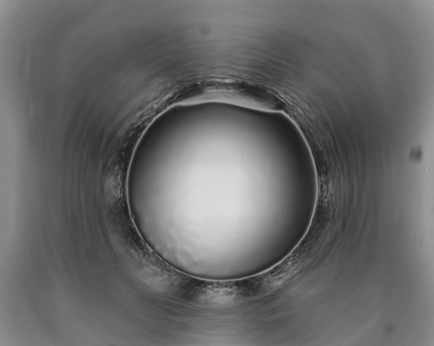 X0000090610606200707241108