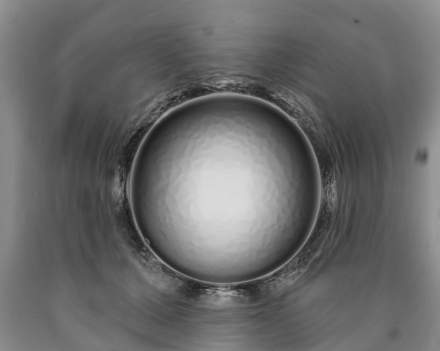 X0000090610607200707241108