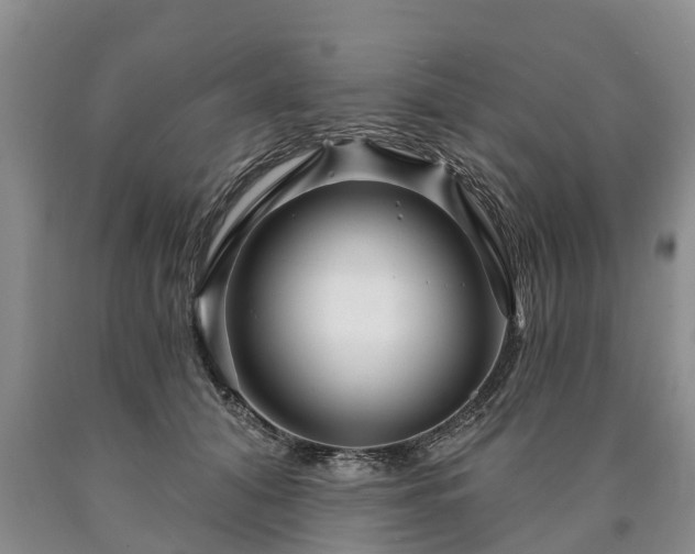 X0000090610608200707241108