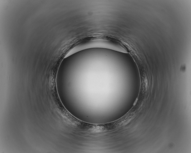 X0000090610609200707241108