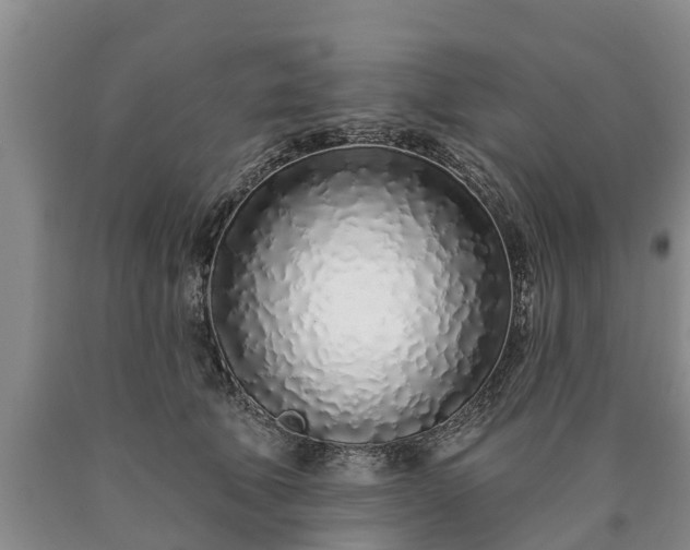 X0000090610610200707241108