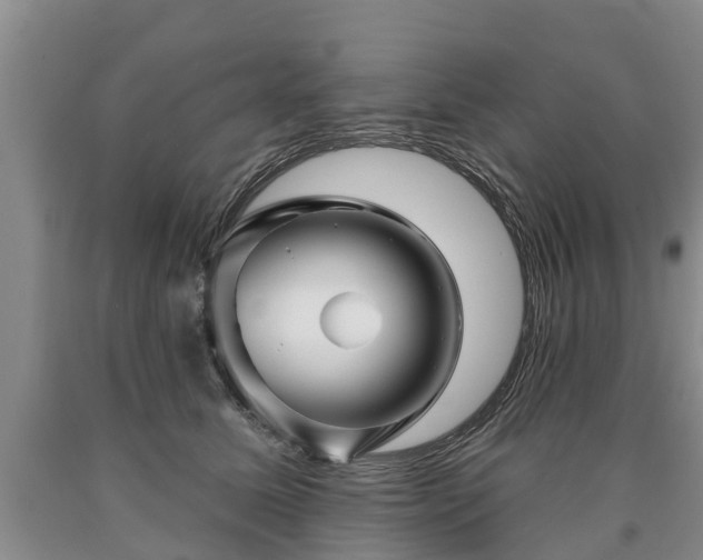 X0000090610611200707241108