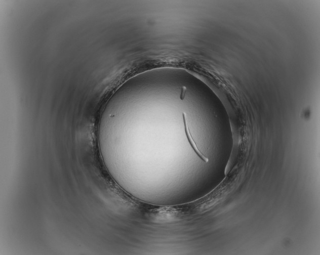 X0000090610612200707241108