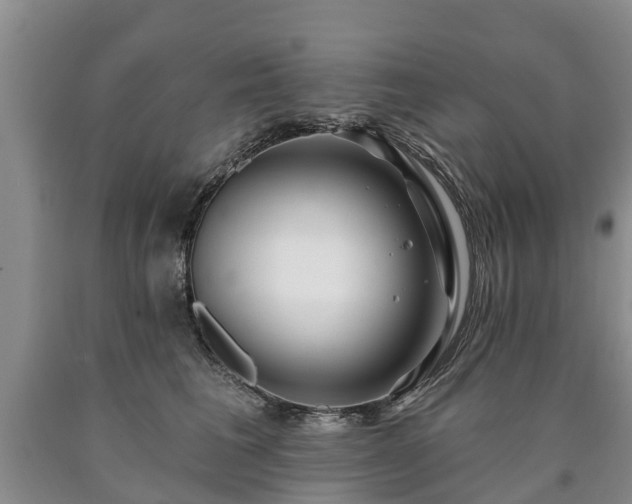 X0000090610613200707241108