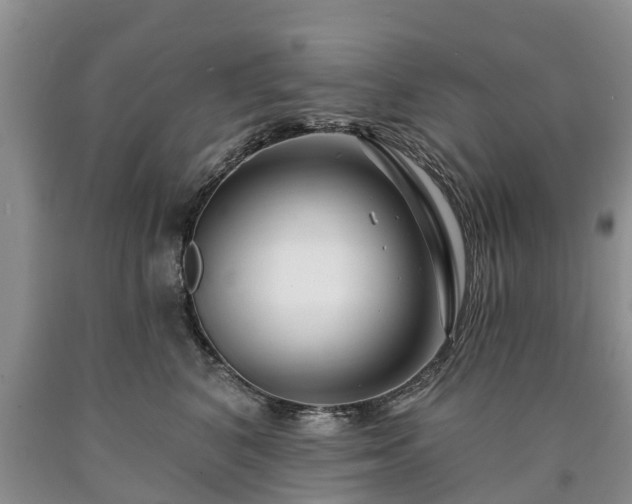 X0000090610616200707241108