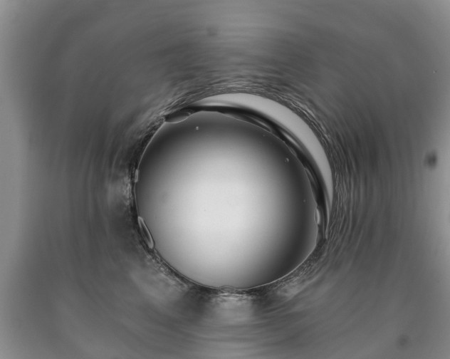 X0000090610617200707241108