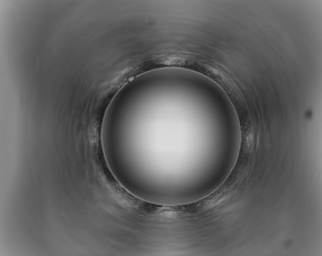 X0000090610620200707241108