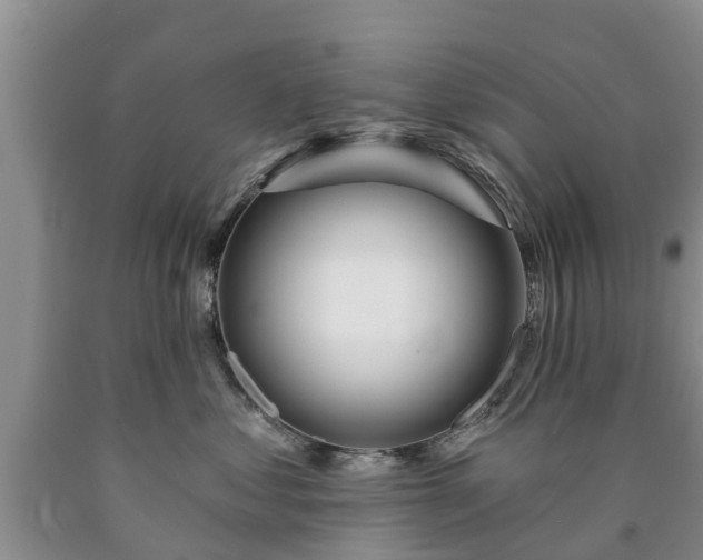 X0000090610621200707241108