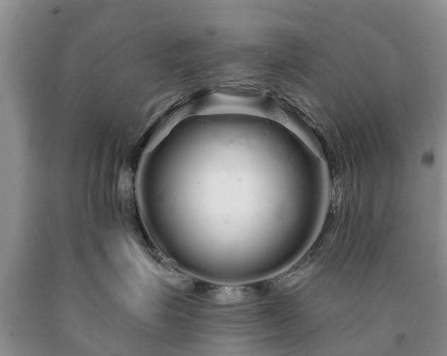 X0000090610623200707241108