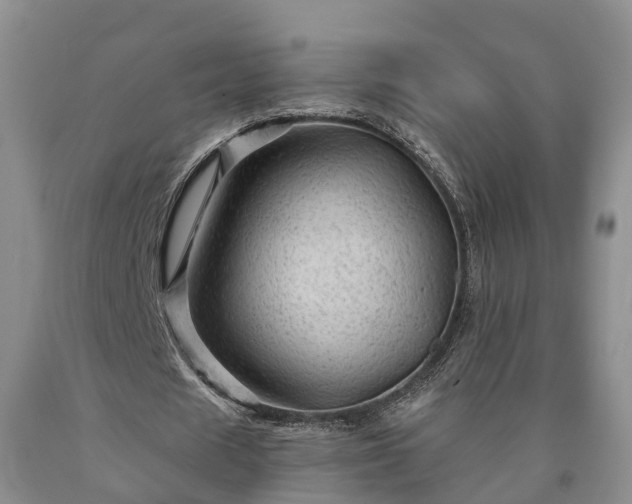 X0000090610625200707241107