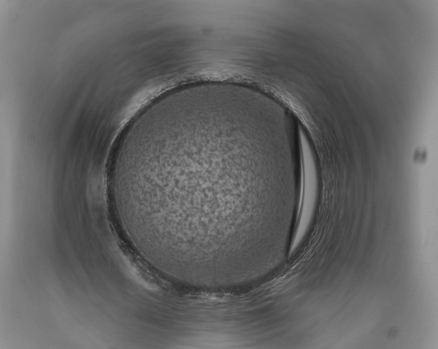 X0000090610626200707241107