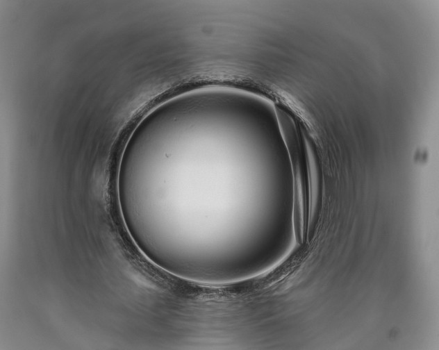 X0000090610627200707241107