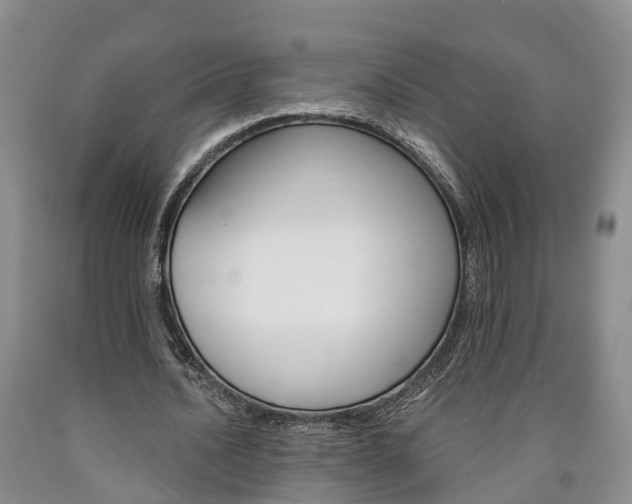 X0000090610628200707241107