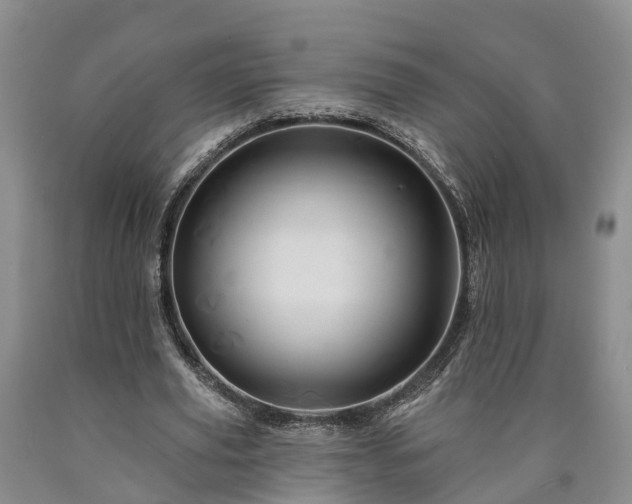 X0000090610629200707241107