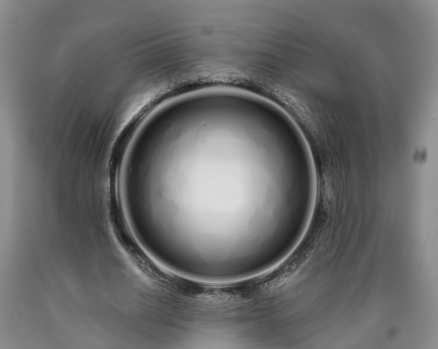 X0000090610630200707241107