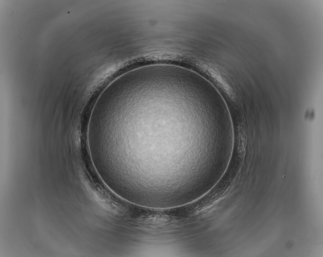 X0000090610631200707241107