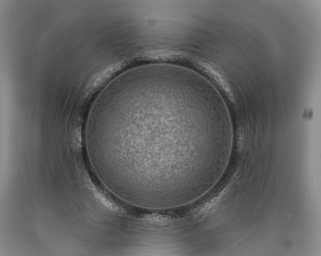 X0000090610633200707241107