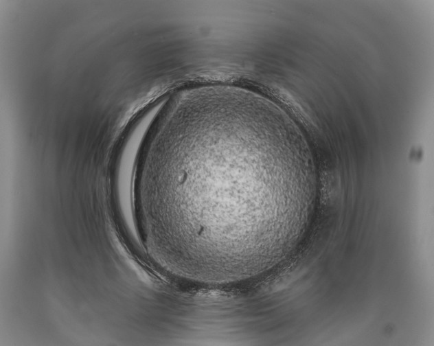 X0000090610634200707241107