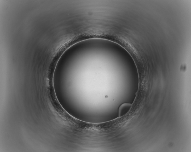 X0000090610635200707241107