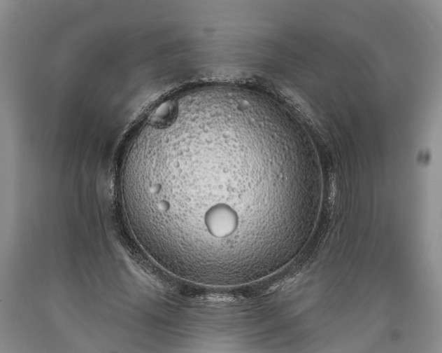 X0000090610636200707241107