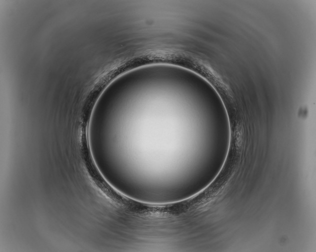 X0000090610637200707241107