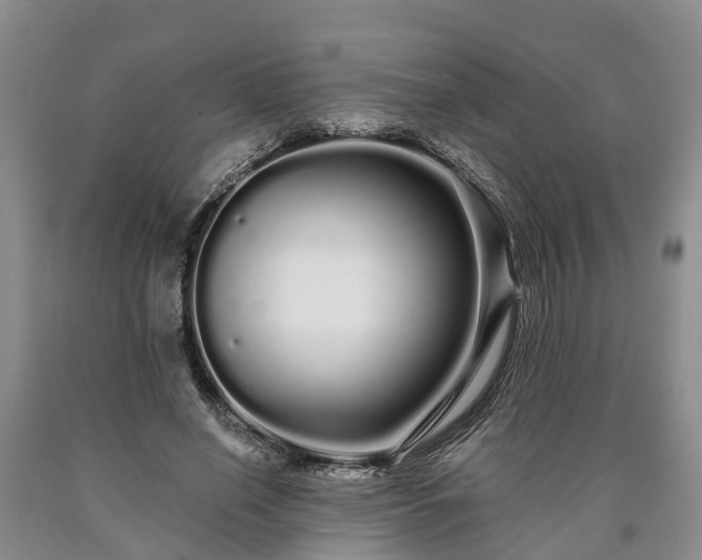 X0000090610638200707241107