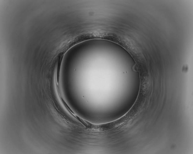 X0000090610639200707241107