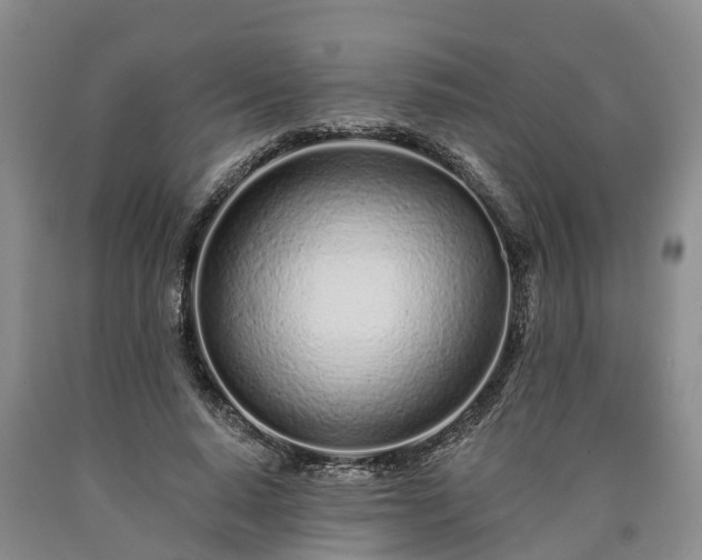 X0000090610640200707241107