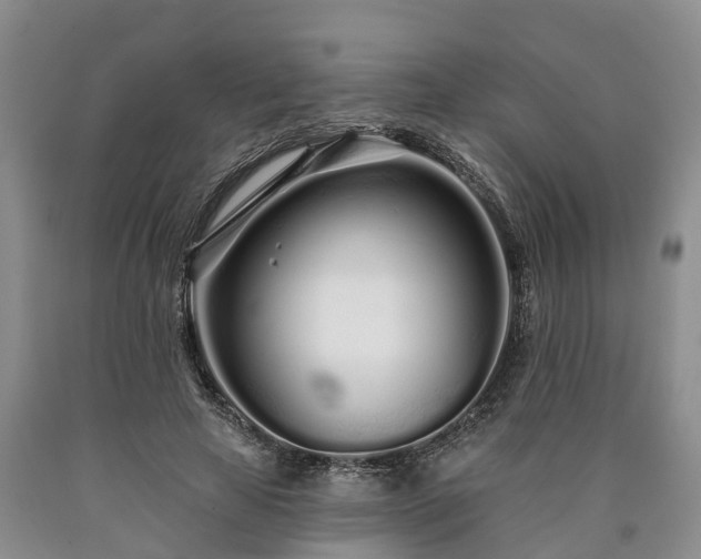 X0000090610641200707241107