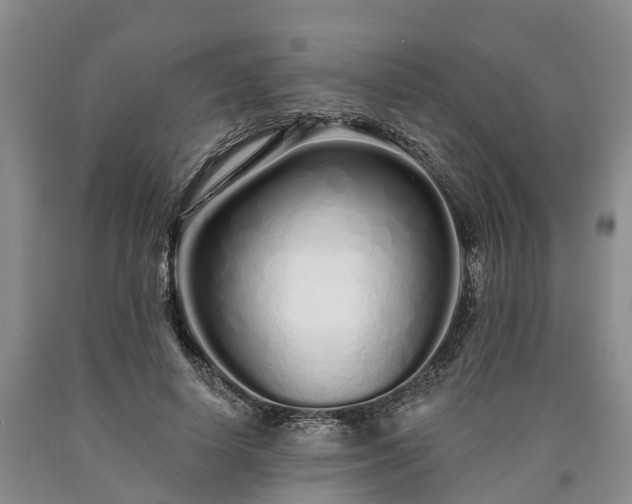 X0000090610642200707241107