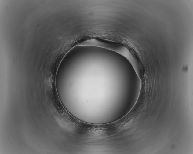 X0000090610643200707241107