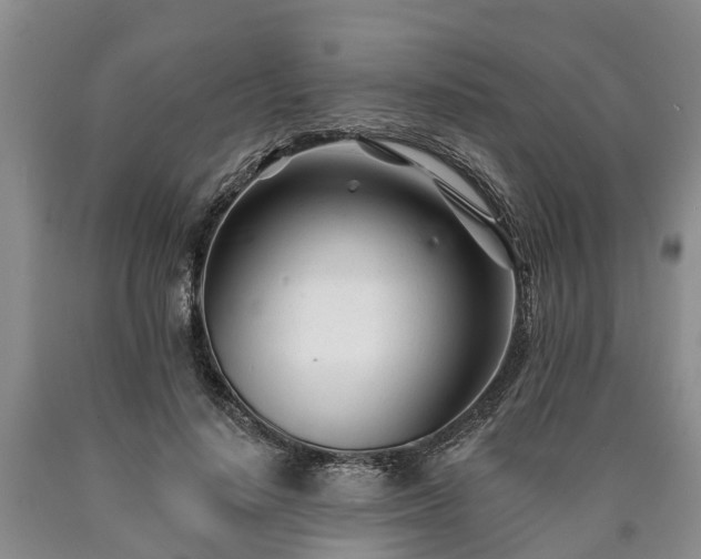 X0000090610644200707241107