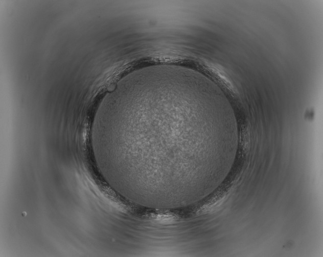 X0000090610645200707241107